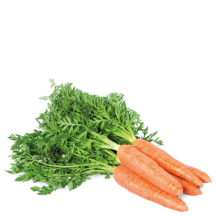 Գազար <br>(100-300 կգ/հա)