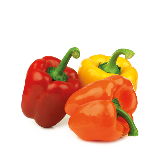 Պղպեղ